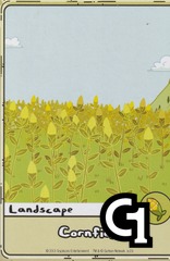 Cornfield (Corn Up Close)